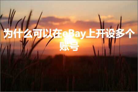 璺ㄥ鐢靛晢鐭ヨ瘑:涓轰粈涔堝彲浠ュ湪eBay涓婂紑璁惧涓处鍙? width=